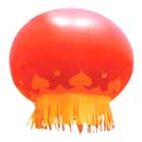 Ʈ
