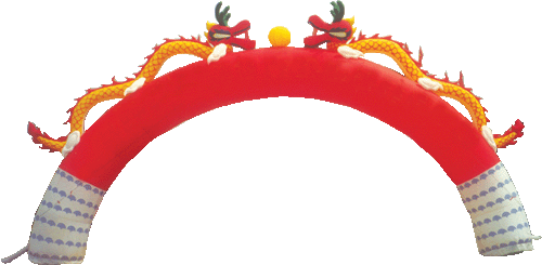 ˫